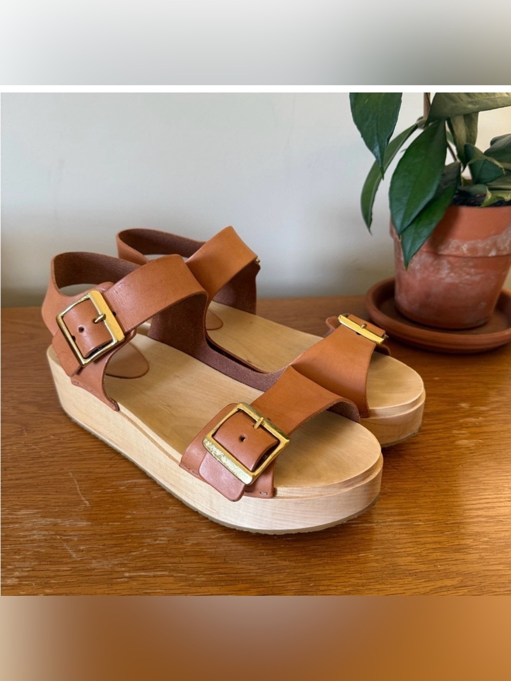 Bryr Stella Platform Buckle Clog Sandal in whiskey size 10
